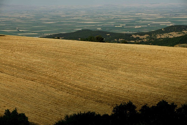 Μαρίνος Αντύπας: η ξεχασμένη δίκη…