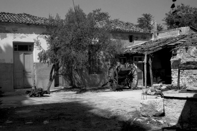 Το χαμένο περιβόλι της Αττικής