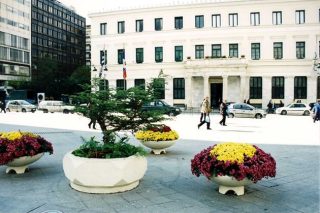 Χρωστάνε στον δήμο ακόμα και τα δέντρα