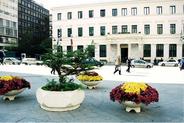 Χρωστάνε στον δήμο ακόμα και τα δέντρα