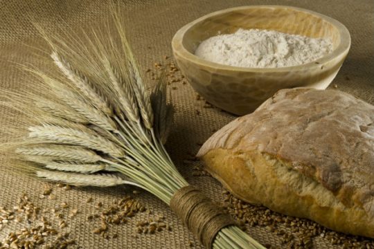 Πάμε να ζυμώσουμε