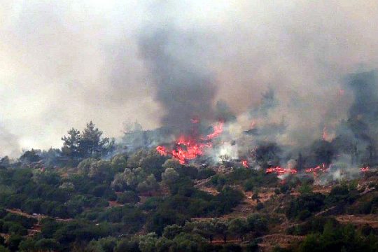 «Μάχη» με τις φλόγες στην Άνδρο