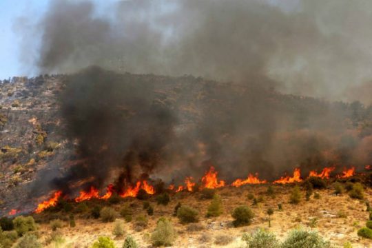 Αρνητικό ρεκόρ για το Ρέθυμνο στις πυρκαγιές