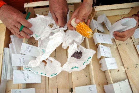 Βιώνοντας τους αγρούς της πόλης