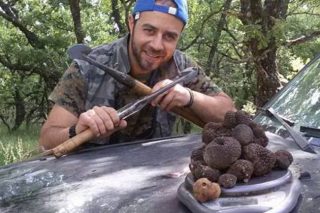Το κυνήγι της μαύρης τρούφας