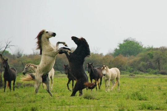 Το «Ταξίδι στον Αξιό» με τα μάτια της Λίας