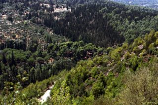 Περίπατος πέριξ της Μονής Καισαριανής