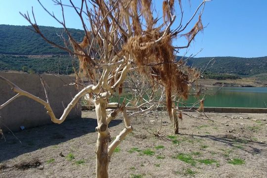 Το χωριό που αναδύεται αντί να βουλιάζει