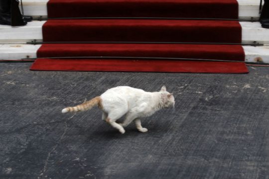 Δωρεάν μαθήματα δημοσιογραφίας από το Βηματοδότη