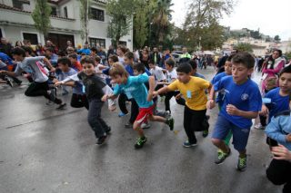 Αντιδράσεις-Ιδέες στην πρόταση Γκεμπρεσελασιέ