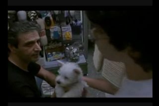 Μια ιστορία στο pet shop