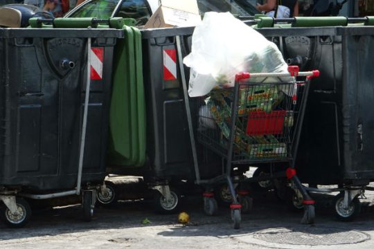 Εκατομμύρια τόνοι τροφίμων στα σκουπίδια της Ε.Ε.
