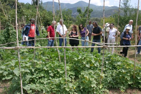 Σχολείο… σπόρων στα Χανιά, στις 5 και 6 Νοεμβρίου