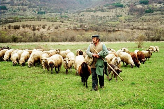 «Οδοιπορικό» της ΝΔ σε αγρότες και κτηνοτρόφους της Κρήτης