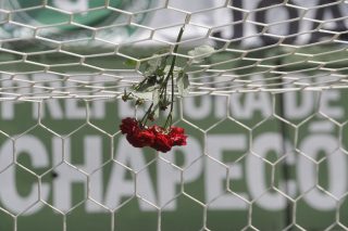 Βουβοί πιγκουίνοι… «ταχυδρόμοι» κακού
