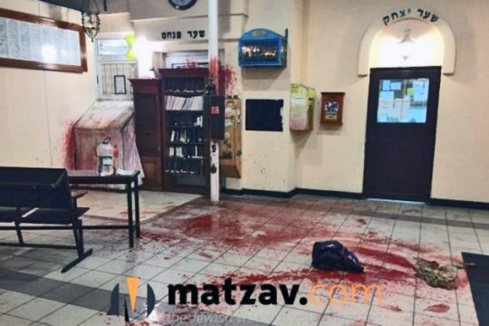 Ναζιστική επίθεση σε συναγωγή
