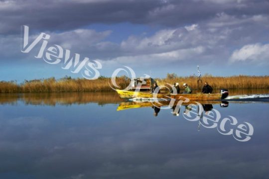 Οικολογική απόδραση στο Δέλτα