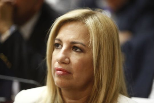 Παρέμβαση Βούτση για το «Documento» ζητάει η Φώφη