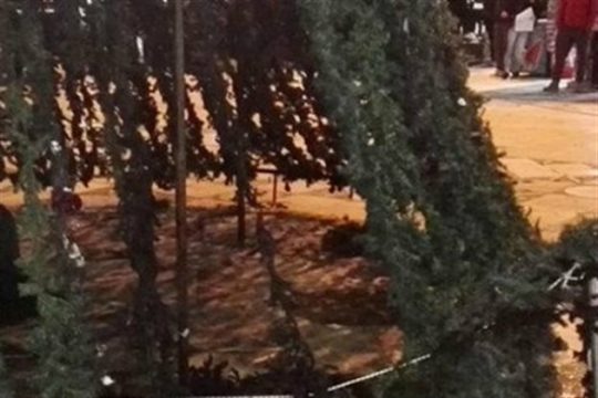 Ανάληψη ευθύνης για τον εμπρησμό… χριστουγεννιάτικου δέντρου