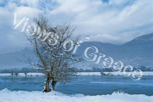 Χορεύοντας στη φύση μαζί με τα πουλιά