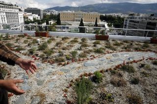 Λίγα για την αστική κηπουρική