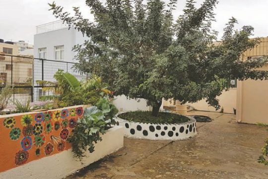 Πρότυπος κομποστοποιητής σε σχολείο του Αγίου Νικολάου