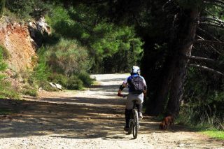 ΣτΕ: Στις 10 Μαρτίου η συζήτηση για την προστασία του Υμηττού