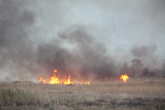 Χειμωνιάτικη φωτιά σε καλαμιώνα στη Σάμο