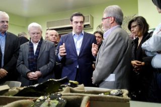 «Ανοησίες» τα περί εκλογών