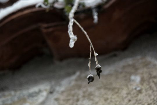 Σημαντική πτώση της θερμοκρασίας, χιόνια και στην Πάρνηθα