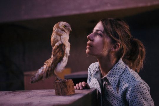 Η πολιτιστική ατζέντα της ημέρας – 19.01.2017