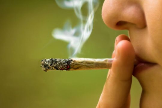 Η ιαματική-ψυχαγωγική επίδραση της κάνναβης