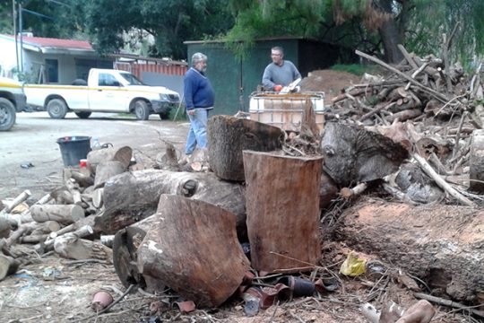 Δωρεάν καυσόξυλα σε ευπαθείς ομάδες στο Ηράκλειο