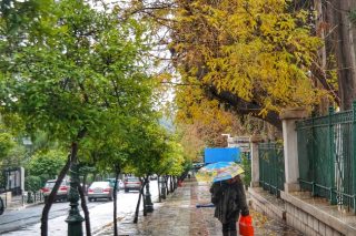 Κρυοπαθήματα