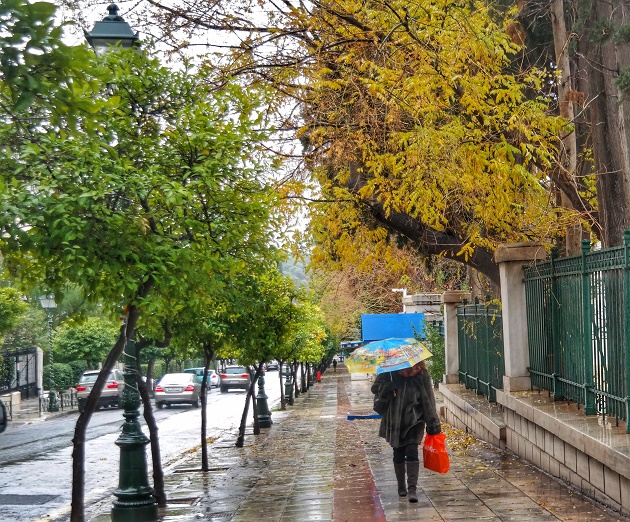Κρυοπαθήματα