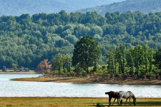 Πώς πετυχαίνει το πρωτοποριακό «οικοσύστημα» της Καρδίτσας;