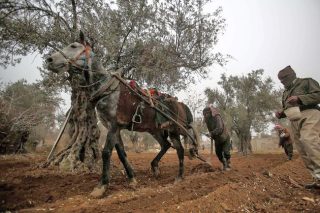 Συρία: μαίνεται η «μάχη του νερού»