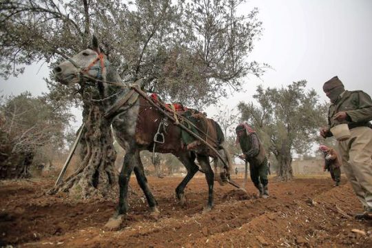 Συρία: μαίνεται η «μάχη του νερού»