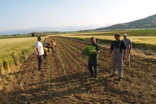 Πανελλήνια Συνάντηση Συνεργατικών Εγχειρημάτων