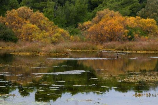 Η πολιτιστική ατζέντα της ημέρας – 6.02.2017