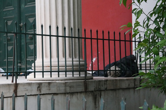 Το μαρτίτσι και ο Καμί