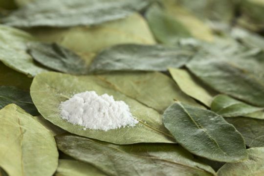 Η υποκατάσταση της κόκας