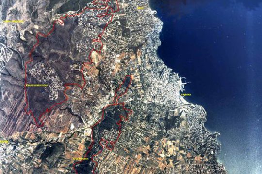 Καταργείται η… αναδάσωση σε καμένες καλλιέργειες