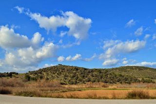 Ενστάσεις για τους δασικούς χάρτες
