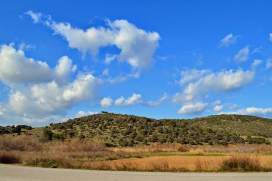 Ενστάσεις για τους δασικούς χάρτες