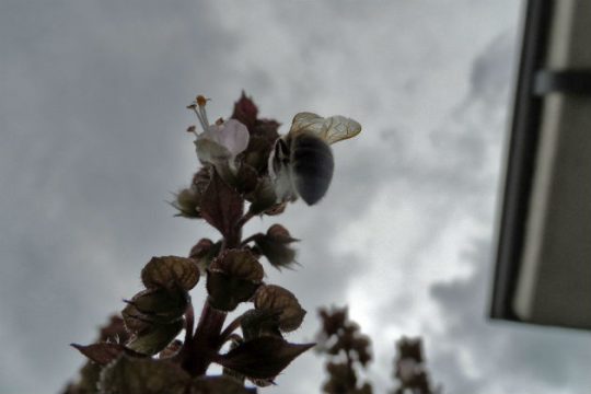 Βροχές με συννεφιά σε όλη τη χώρα