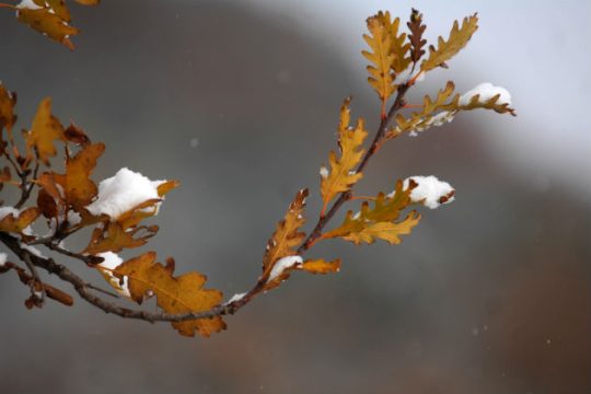 Κρύο σε όλη τη χώρα