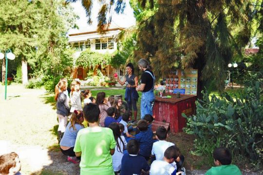 Κομποστοποίηση: λύση για τα απορρίμματα από τους ίδιους τους πολίτες