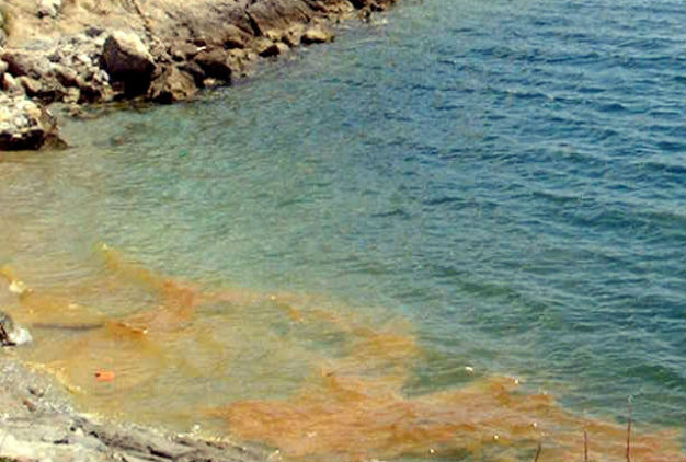 Μεγάλη θαλάσσια ρύπανση στο Κερατσίνι
