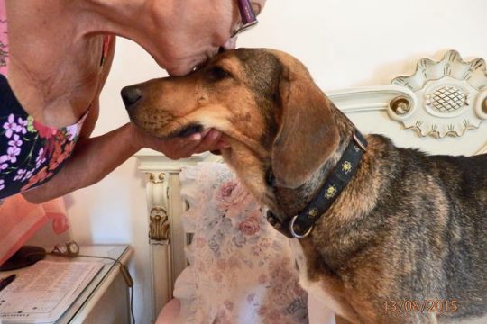 Μαθητικός Διαγωνισμός Ζωοφιλίας